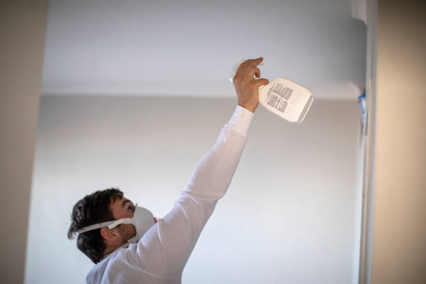 Best Office Mold Removal Services  in Polson, MT