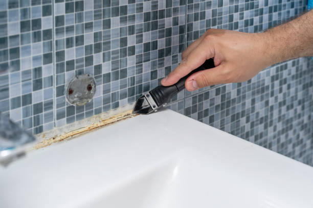 Best Attic Mold Removal  in Polson, MT