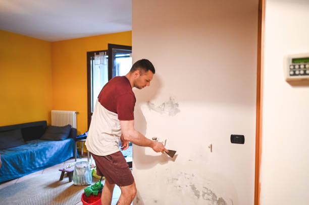 Best Best Mold Removal Companies  in Polson, MT